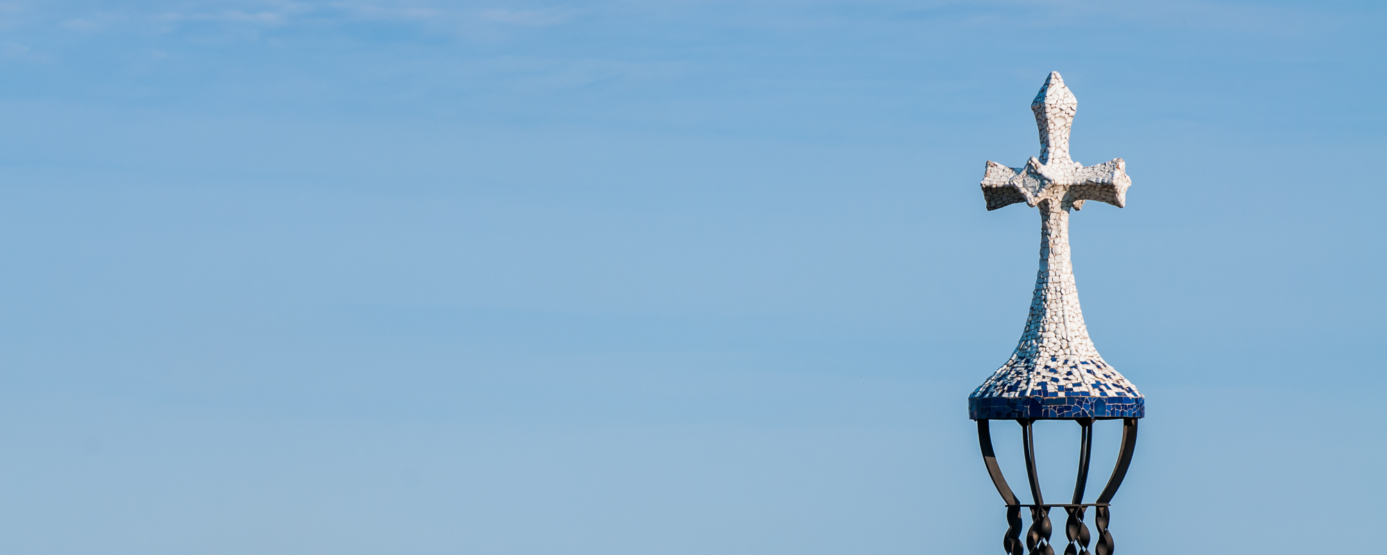 Banner 31