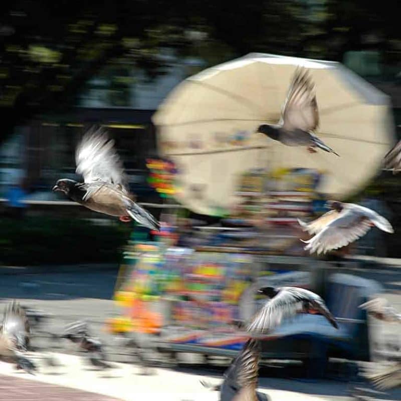 Capturing movement in your images creates captivating shots. Learn how.