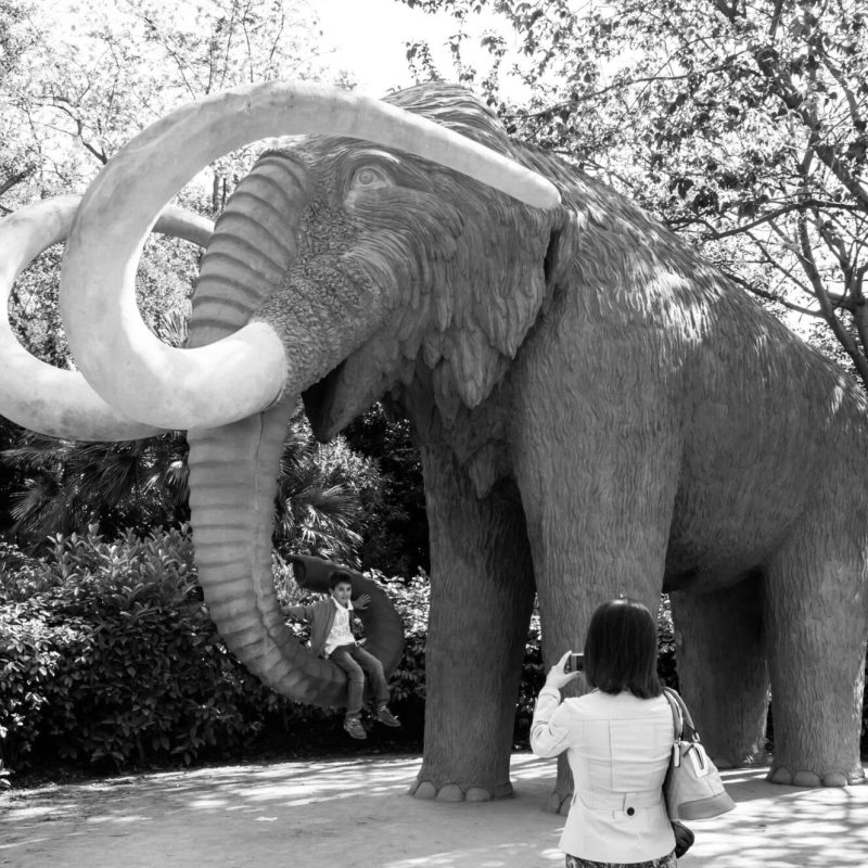A life size statue of a woolly mammoth.