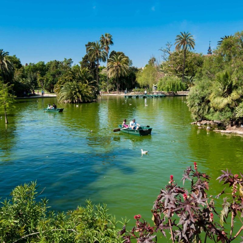 A man made pond in the citadel park